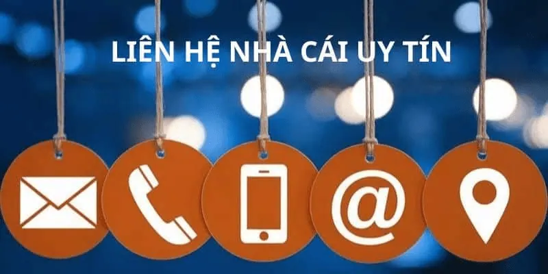 Vì sao nên liên hệ ngay khi gặp sự cố cá cược