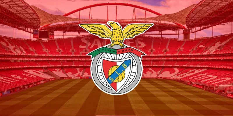 Benfica – Nơi hồi sinh nhiều tài năng Nam Mỹ Benfica – Nơi hồi sinh nhiều tài năng Nam Mỹ