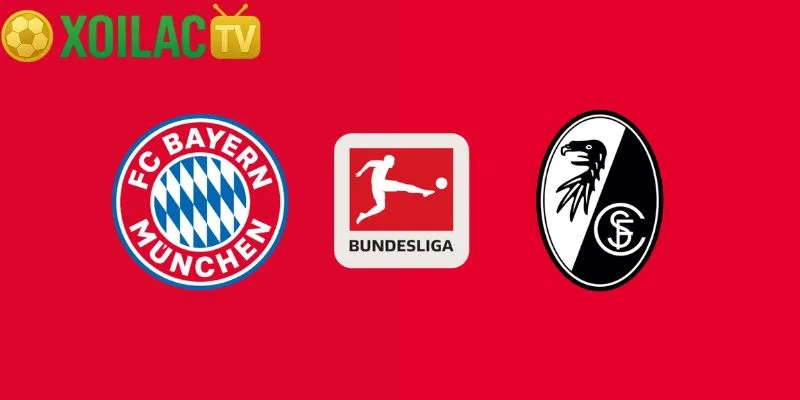 Nhận định Bayern Munich – Freiburg vào lúc 21:30 ngày 22/11