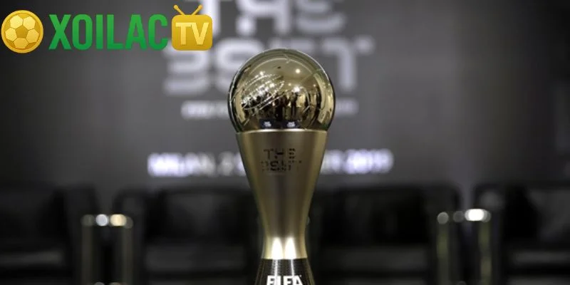 Các Danh Hiệu Trong Bóng Đá Và Ý Nghĩa Của Từng Cúp