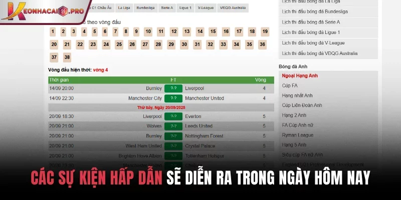 Các sự kiện hấp dẫn sẽ diễn ra trong ngày hôm nay Các sự kiện hấp dẫn sẽ diễn ra trong ngày hôm nay