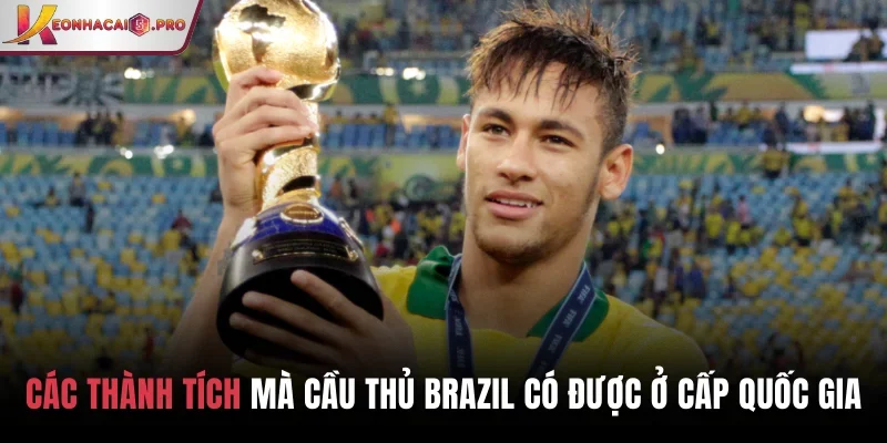 Các thành tích mà cầu thủ Brazil có được ở cấp quốc gia Các thành tích mà cầu thủ Brazil có được ở cấp quốc gia