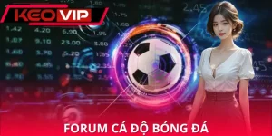 Forum Cá Độ Bóng Đá