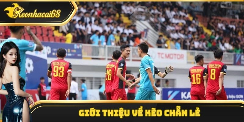 Giới thiệu về kèo chẵn lẻ