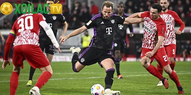 Nhận định Bayern Munich – Freiburg vào lúc 21:30 ngày 22/11