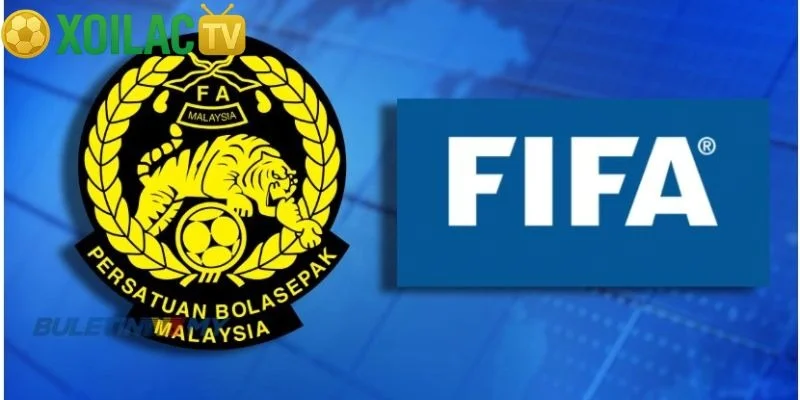 Diễn biến mới vụ Malaysia nhập tịch “chui”: Hồ sơ giả thứ 3 bị phanh phui, CAS khó cứu