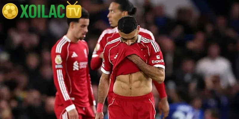 Luật bóng đá 11 người mới nhất và giải thích chi tiết từng luật