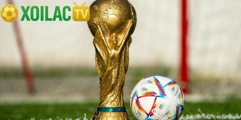 Các Danh Hiệu Trong Bóng Đá Và Ý Nghĩa Của Từng Cúp Các Danh Hiệu Trong Bóng Đá Và Ý Nghĩa Của Từng Cúp