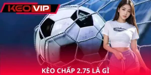 Kèo Chấp 2.75 Là Gì
