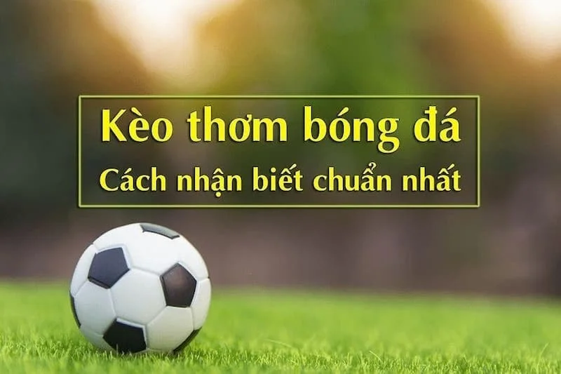 Cách tìm kèo thơm trong kèo nhà cái lfcway