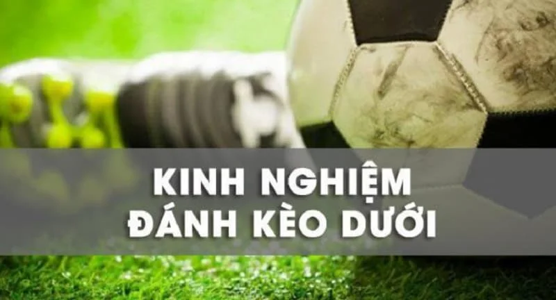 kinh nghiệm đánh kèo dưới luôn thắng kinh nghiệm đánh kèo dưới luôn thắng