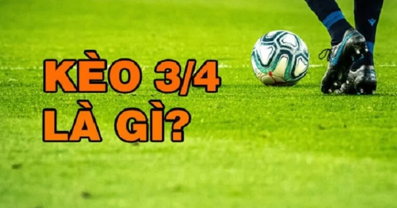 Một số tỷ lệ chấp khi đánh kèo dưới có gì? Một số tỷ lệ chấp khi đánh kèo dưới có gì?