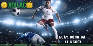 Luật bóng đá 11 người mới nhất và giải thích chi tiết từng luật