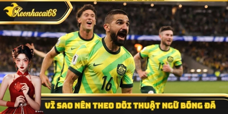 Lý do bạn nên tìm hiểu và theo dõi thuật ngữ cá độ