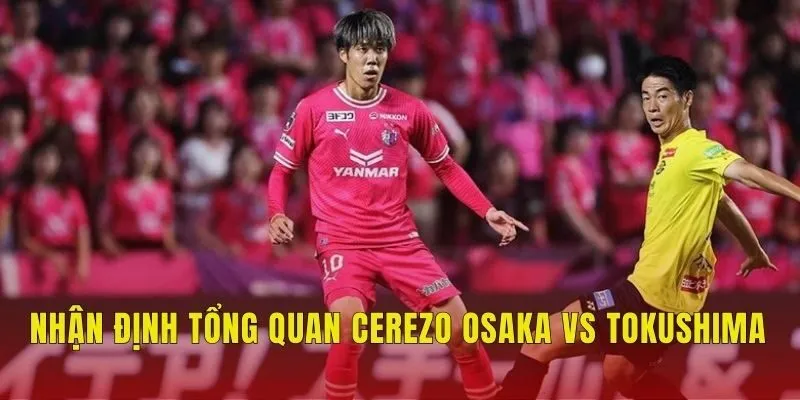 Nhận định tổng quan Cerezo Osaka vs Tokushima