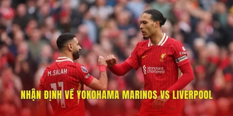Nhận định về Yokohama Marinos vs Liverpool Nhận định về Yokohama Marinos vs Liverpool