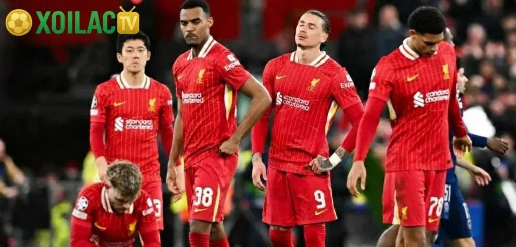 Nhận định Liverpool – Nottingham Forest vào lúc 22:00 ngày 22/11 Nhận định Liverpool – Nottingham Forest vào lúc 22:00 ngày 22/11