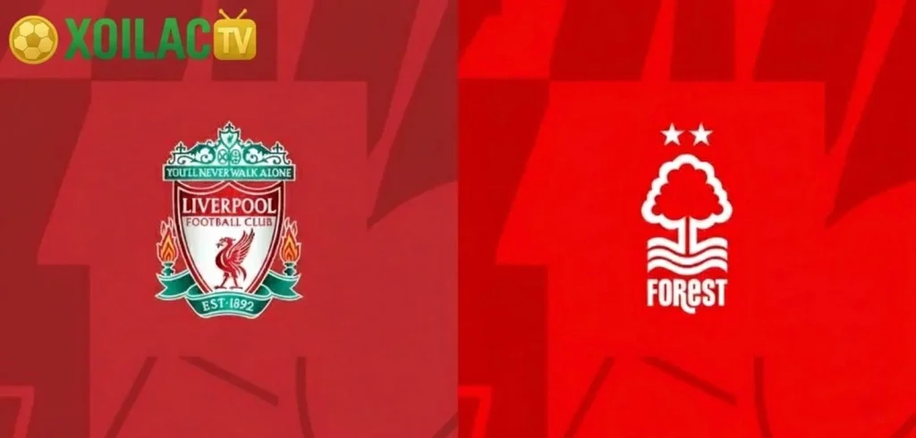 Nhận định Liverpool – Nottingham Forest vào lúc 22:00 ngày 22/11