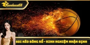Soi Kèo Bóng Rổ