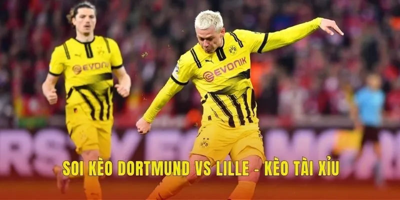 Soi kèo Dortmund vs Lille - Kèo tài xỉu Soi kèo Dortmund vs Lille - Kèo tài xỉu