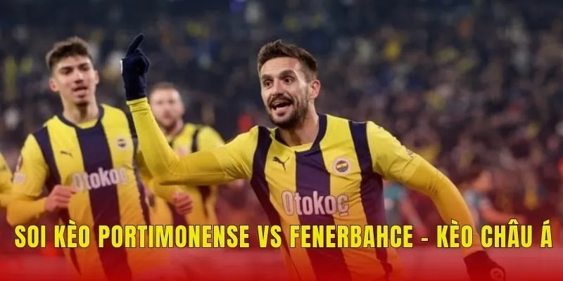 Soi kèo Portimonense vs Fenerbahce - Kèo châu Á