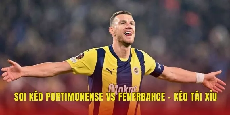 Soi kèo Portimonense vs Fenerbahce - Kèo tài xỉu