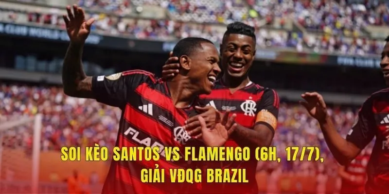 Soi Kèo Santos Vs Flamengo (6h, 17/7), Giải VĐQG Brazil