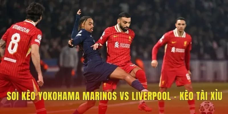 Soi kèo Yokohama Marinos vs Liverpool - Kèo tài xỉu Soi kèo Yokohama Marinos vs Liverpool - Kèo tài xỉu