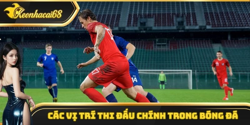 Các vị trí thi đấu chính trong bóng đá Các vị trí thi đấu chính trong bóng đá