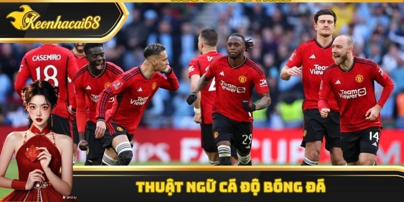 Thuật Ngữ Cá Độ Bóng Đá