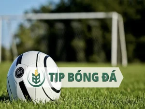 Tips bóng đá là gì