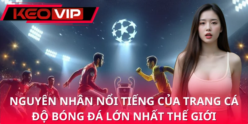 Nguyên nhân cần biết trang cá độ bóng đá lớn nhất thế giới