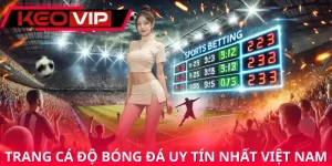 Cá Độ Bóng Đá Uy Tín Nhất Việt Nam