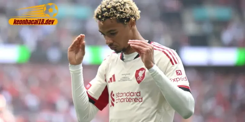 Từ Frankfurt đến Anfield: Bước ngoặt trong sự nghiệp của Ekitike Từ Frankfurt đến Anfield: Bước ngoặt trong sự nghiệp của Ekitike