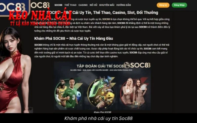 Hiểu biết tổng quan về nhà cái uy tín nhất