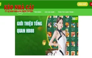 Lý do khiến nhà cái HB88 trở thành top trending năm 2025
