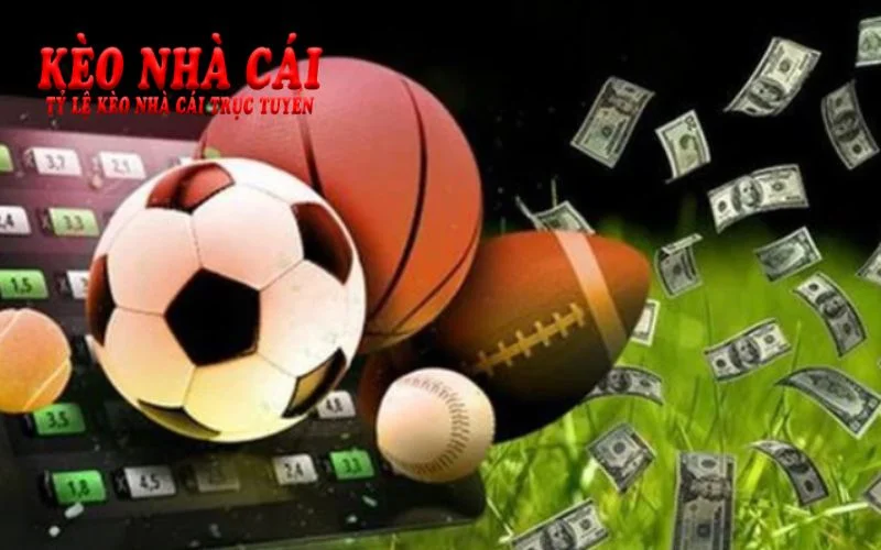 Cách sử dụng tiền thưởng hiệu quả từ nhà cái tặng tiền cá cược thể thao Cách sử dụng tiền thưởng hiệu quả từ nhà cái tặng tiền cá cược thể thao