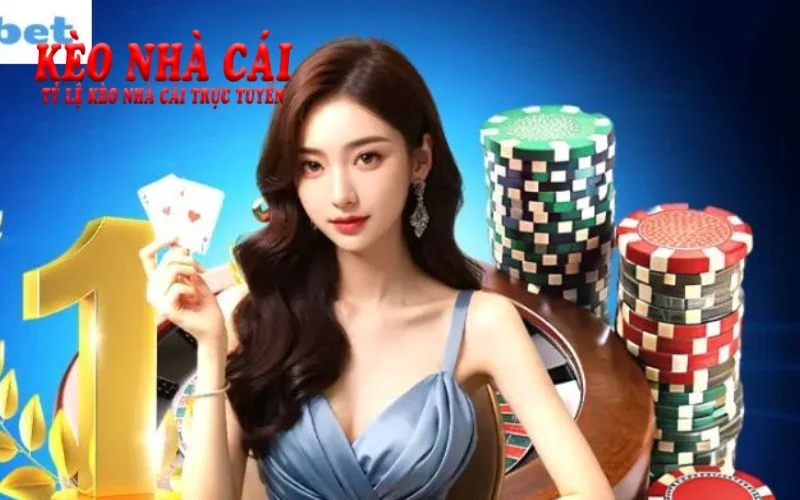 Giới thiệu về 8xbet - Nhà cái trực tuyến uy tín