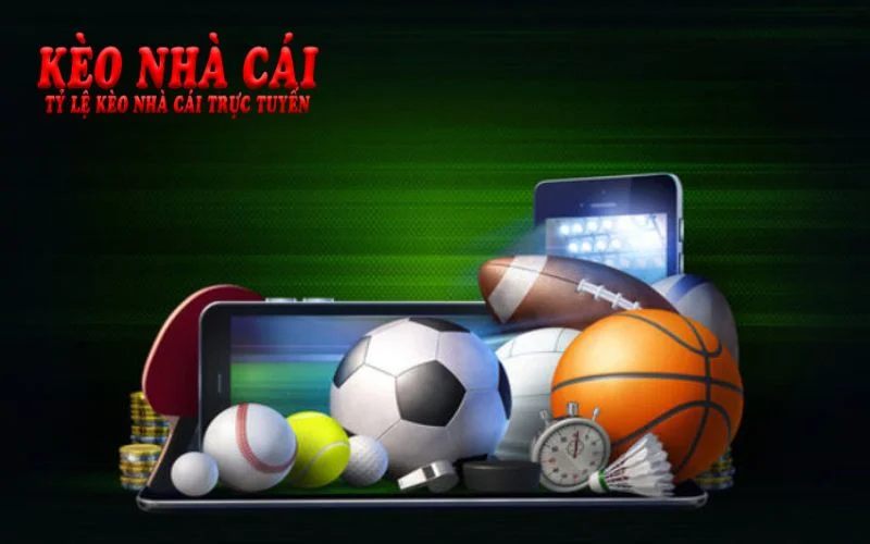 Vsthethao cập nhật tin tức thể thao phong phú từ A đến Z Vsthethao cập nhật tin tức thể thao phong phú từ A đến Z