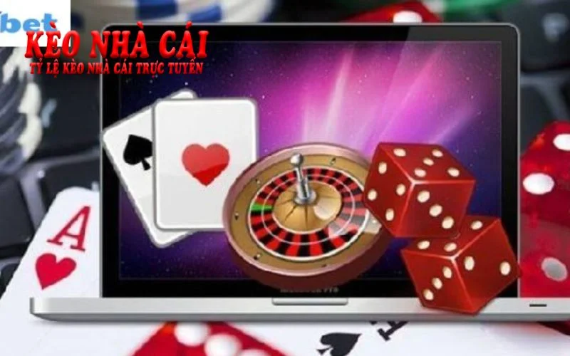 Lý do 8xbet trở thành lựa chọn hàng đầu của cược 