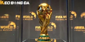 Lịch sử hình thành The FIFA World Cup