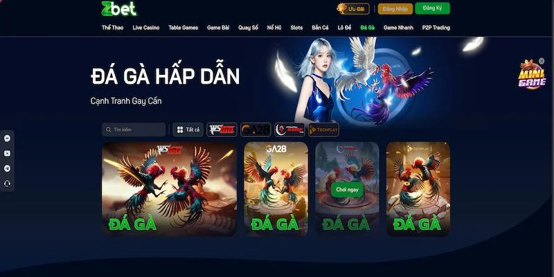 Đá gà online hấp dẫn Đá gà online hấp dẫn
